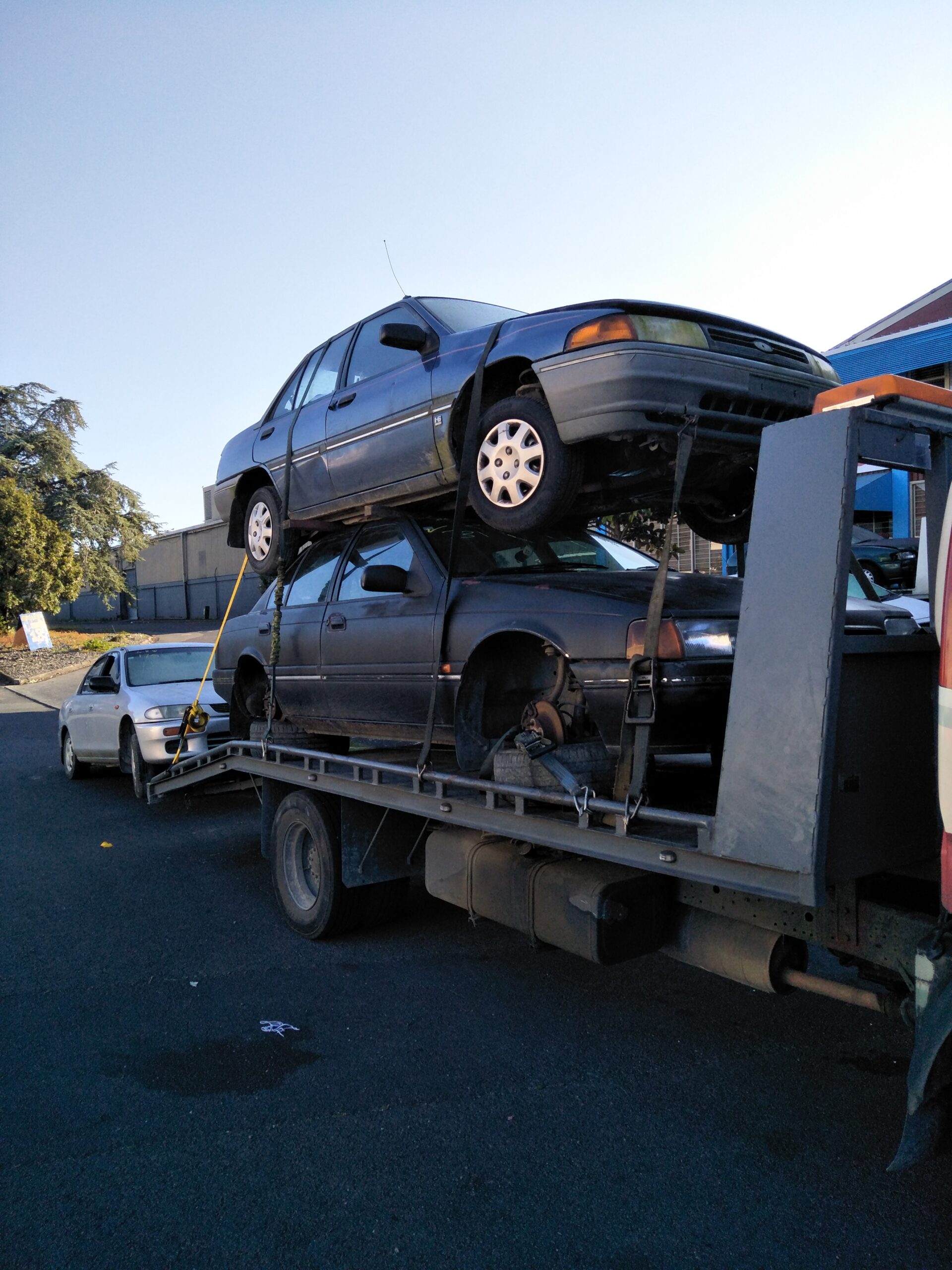 Morrinsville